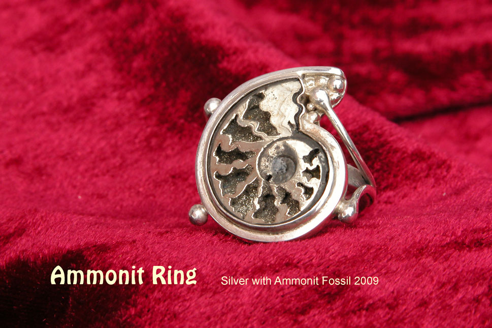 unikatring silber ammonit fossil designerring